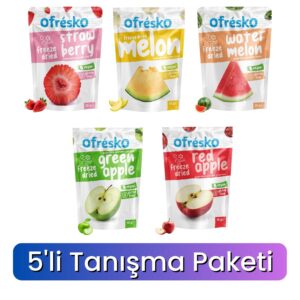 Freeze Dry Kuru Meyve Cipsi 5'li Tanışma Paketi