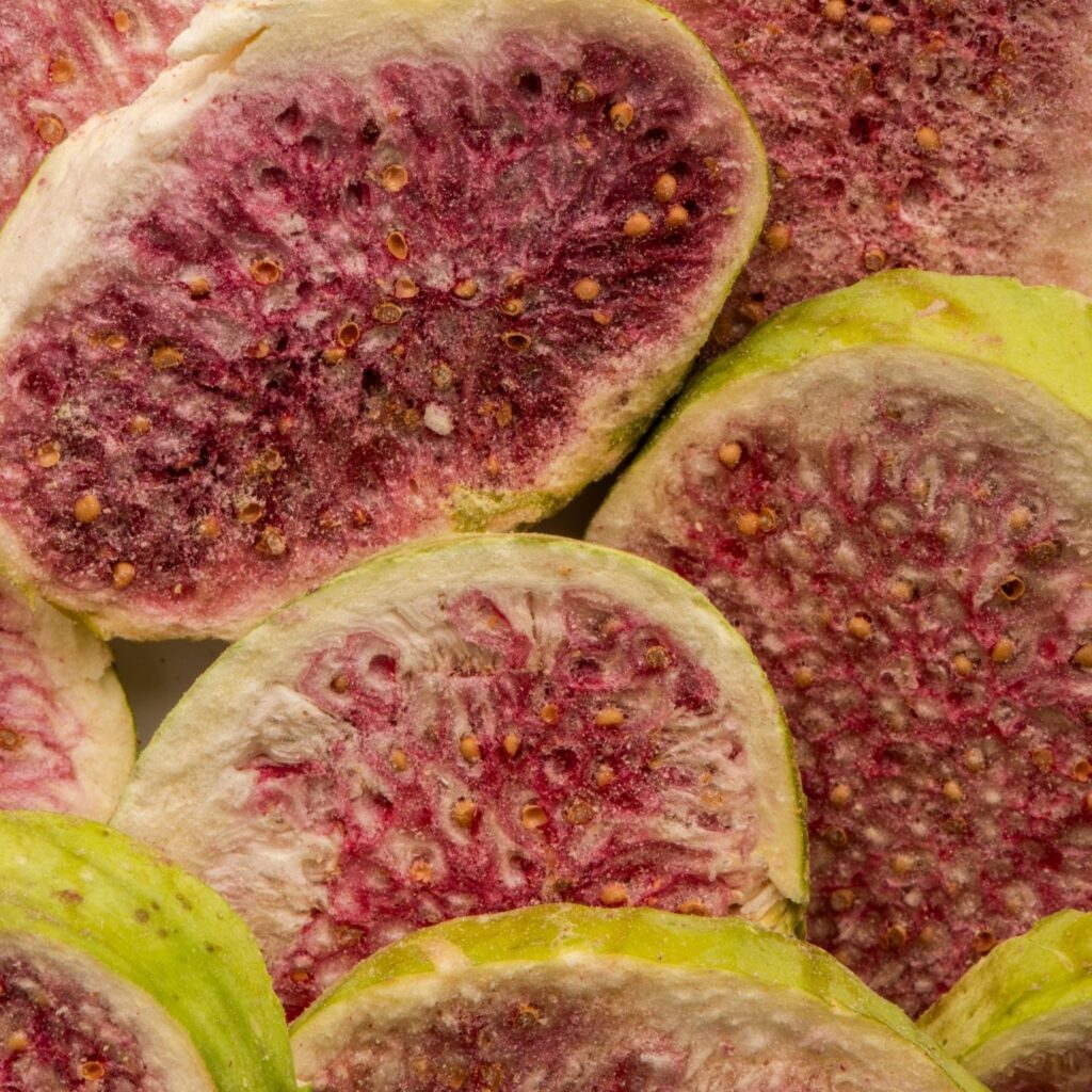 dondurularak kurutulmuş incir dondurularak kurutulmuş incir