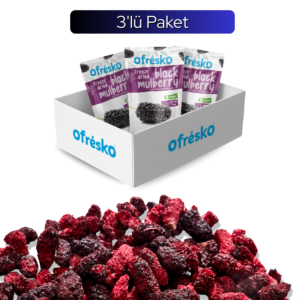 Karadut Kuru Meyve Cipsi 3'lü Paket - Katkısız & Şekersiz Dondurularak Kurutulmuş Karadut Kurusu